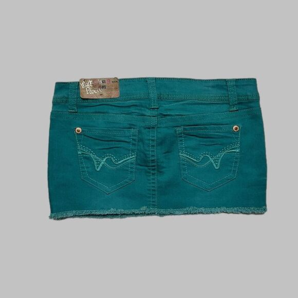 Wallflower Dresses & Skirts - Wallflower Women's Green and Blue Skirt